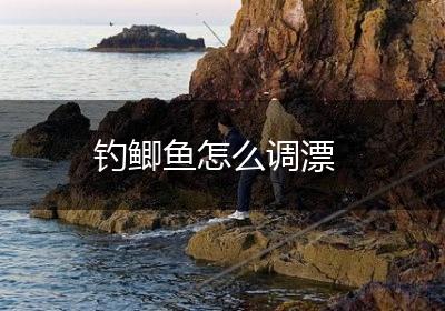 钓鲫鱼怎么调漂