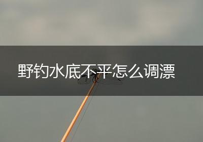野钓水底不平怎么调漂