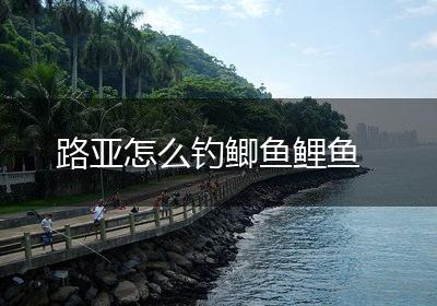 路亚怎么钓鲫鱼鲤鱼