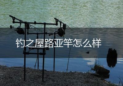 钓之屋路亚竿怎么样