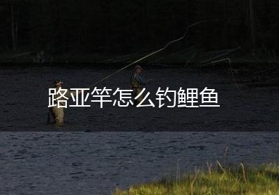 路亚竿怎么钓鲤鱼