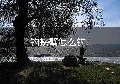 钓螃蟹怎么钓