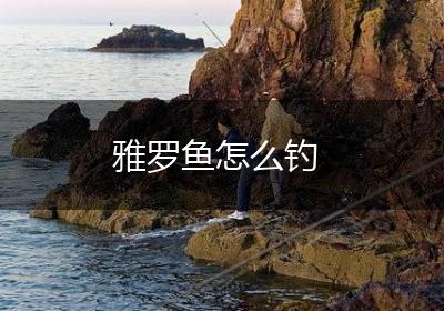雅罗鱼怎么钓