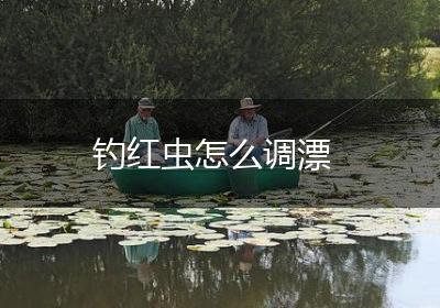 钓红虫怎么调漂
