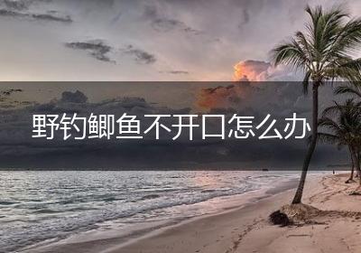 野钓鲫鱼不开口怎么办