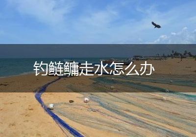 钓鲢鳙走水怎么办