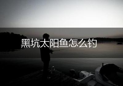 黑坑太阳鱼怎么钓