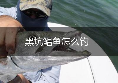 黑坑鲳鱼怎么钓
