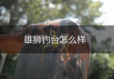 雄狮钓台怎么样