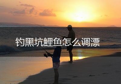 钓黑坑鲤鱼怎么调漂