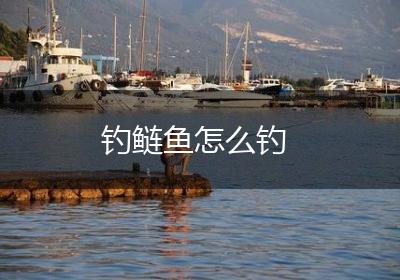 钓鲢鱼怎么钓