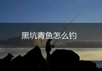 黑坑青鱼怎么钓