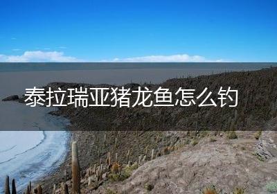 泰拉瑞亚猪龙鱼怎么钓