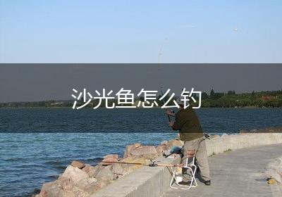 沙光鱼怎么钓