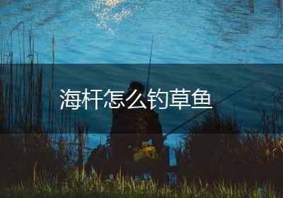 海杆怎么钓草鱼