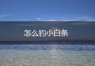 怎么钓小白条