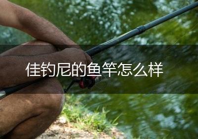 佳钓尼的鱼竿怎么样