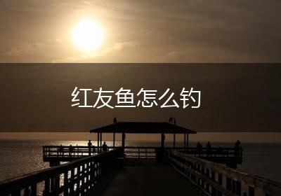 红友鱼怎么钓