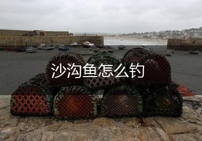 沙沟鱼怎么钓