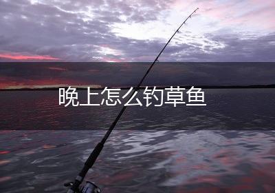 晚上怎么钓草鱼