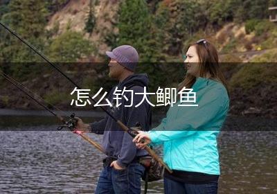 怎么钓大鲫鱼