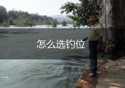 怎么选钓位