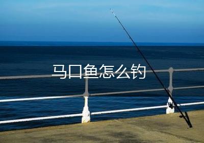 马口鱼怎么钓