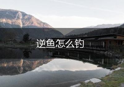 逆鱼怎么钓