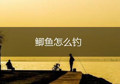 鲫鱼怎么钓