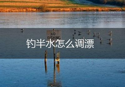 钓半水怎么调漂