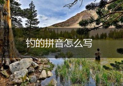 钓的拼音怎么写