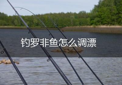 钓罗非鱼怎么调漂