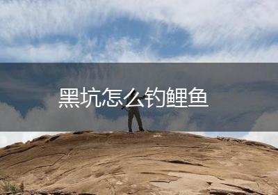 黑坑怎么钓鲤鱼