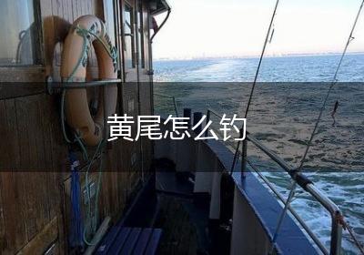 黄尾怎么钓