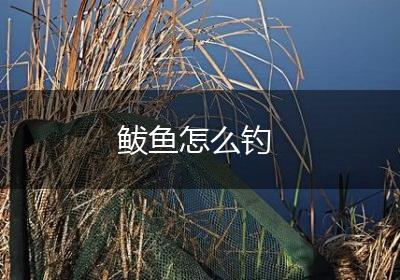鲅鱼怎么钓