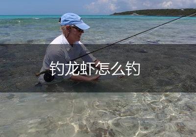 钓龙虾怎么钓