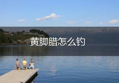 黄脚腊怎么钓