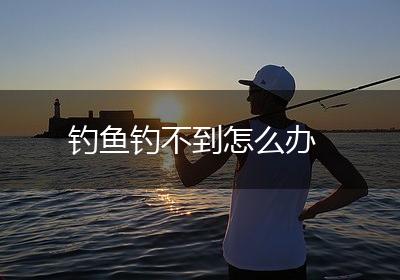 钓鱼钓不到怎么办