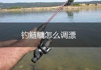 钓鲢鳙怎么调漂