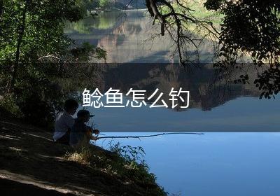 鲶鱼怎么钓