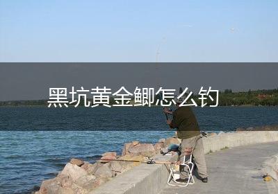 黑坑黄金鲫怎么钓