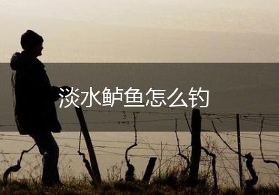 淡水鲈鱼怎么钓