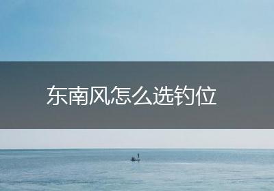 东南风怎么选钓位
