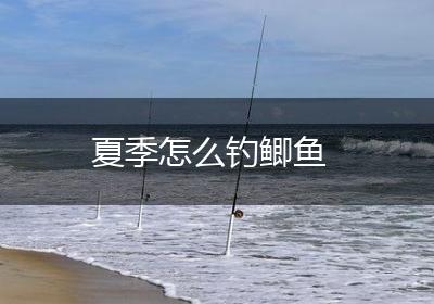 夏季怎么钓鲫鱼