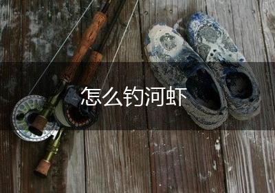 怎么钓河虾