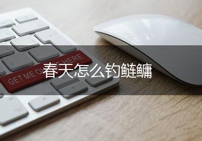 春天怎么钓鲢鳙