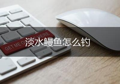 淡水鳗鱼怎么钓