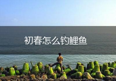 初春怎么钓鲤鱼