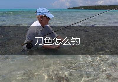 刀鱼怎么钓