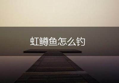 虹鳟鱼怎么钓
